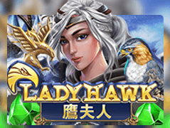 Lady Hawk game screenshot